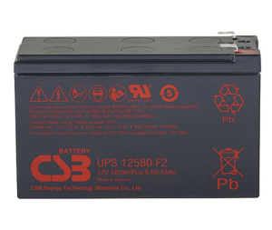 CSB UPS12580 F2