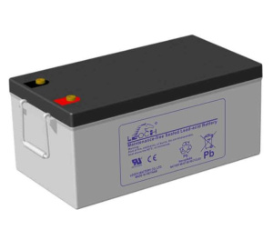 Leoch DJM12250