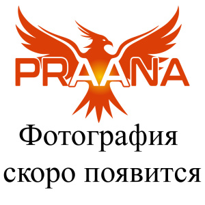 Praana D LR20 Basic Alkaline BL2