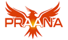 Фото praana в интернет магазине Qilix