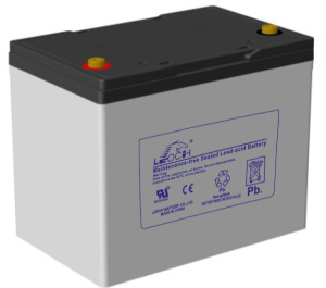 Leoch DJM1275H