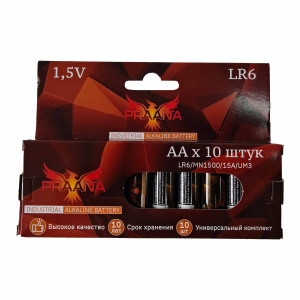 Praana AA LR6 Industrial Alkaline BOX10