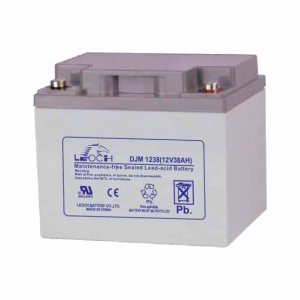 Leoch DJM1238