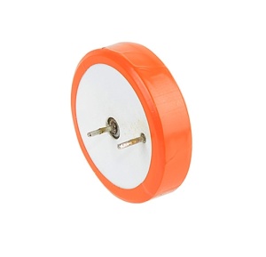 Robiton ER2450 с 2 выводами PK1