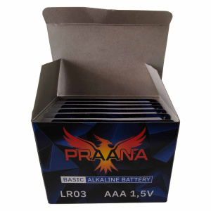Картинка praana aaa lr03 basic alkaline bl4 в Киликс