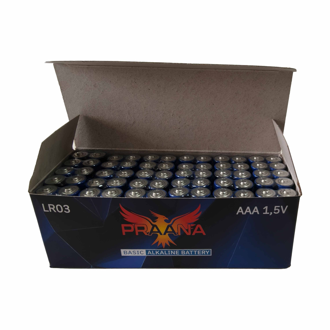 Картинка praana aaa lr03 basic alkaline sr2 в Киликс
